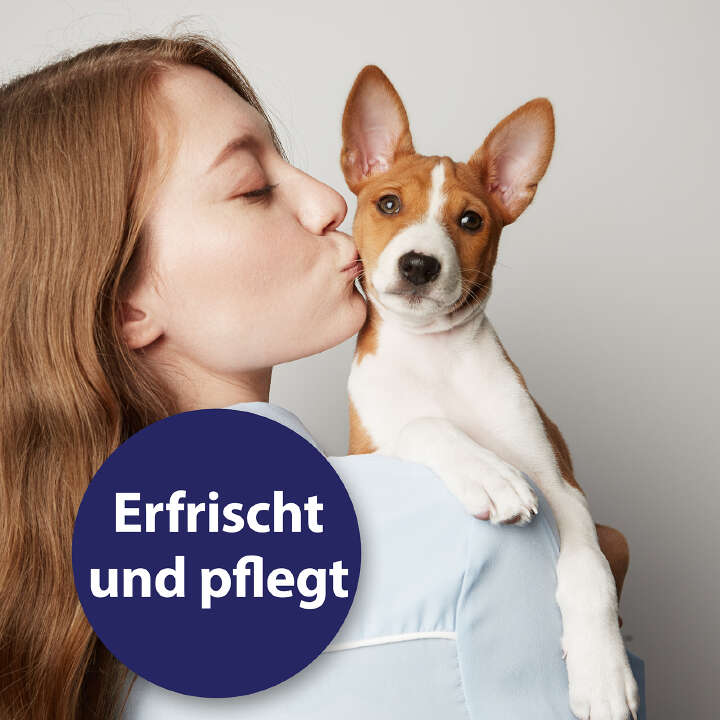 Canosept Ohrreiniger für Hunde 125 ml